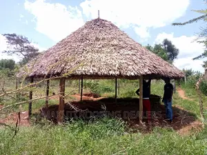 Makuti Gazebo
