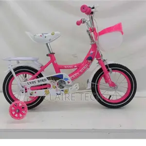 Premier 16" Pink Lady Bird Mountain Bike 