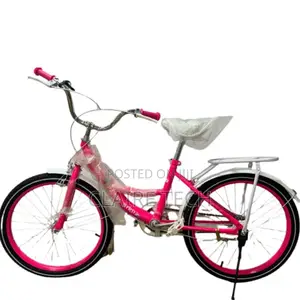 20 Inches Lady Mountain Bike/Premier./Pink.