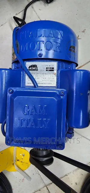 Rhino 2hp Electric Motor