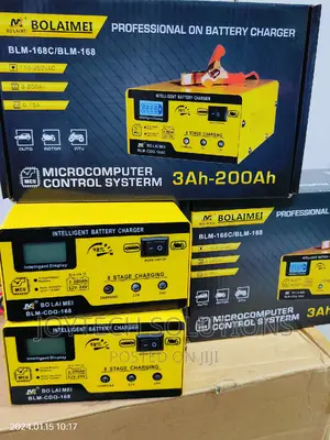 Professional Battery Charger. 0.15 Amp 12v/24 Auto Select.