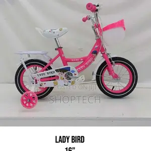 Premier Ladybird Size 16 Bicycle
