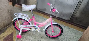 Newest Girls Bike