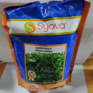 Coriander Green Aroma Seeds (Syova) / Dhania