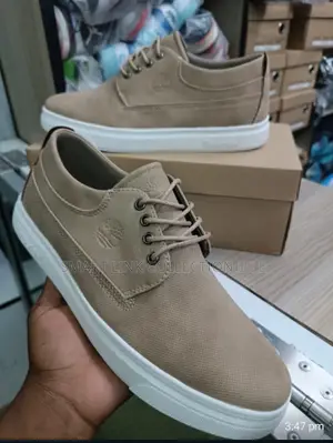 Timberland Lacoste Casuals 