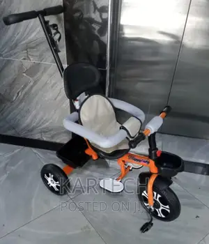Tricycle With Push Handle and Protective Side Bar