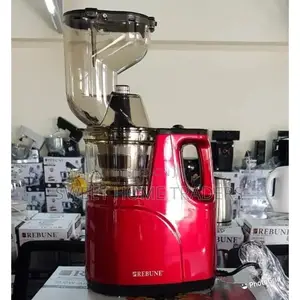 Rebune Slow Juicer With 2 Outlet For Juice