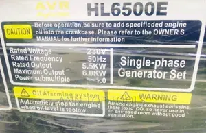 Primo Italy 6kw Original Generator