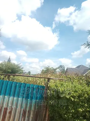 50 by 100 Plot in Ruiru Mugutha