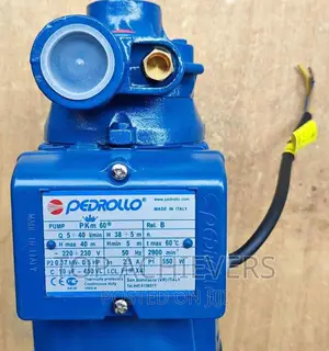 Best Pedrollo Water Pump 0.5hp
