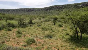 2.5 Acres Olkudate at 5.5m