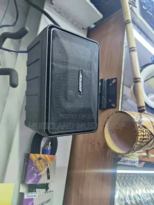 Bose 101 Wall Speaker