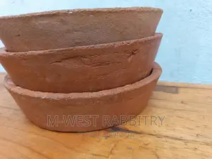 Feeding Pot Clay