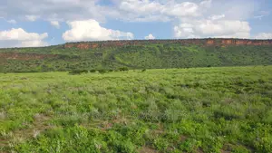 One Acres for Sale in Tinga/Oletepesi