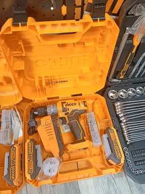 Ingco Portable Drill With Two 20V Battery