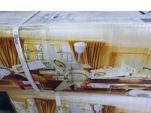 Roch 56 Inches Ceiling Fan 