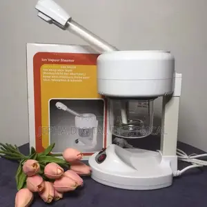 Facial Steamer