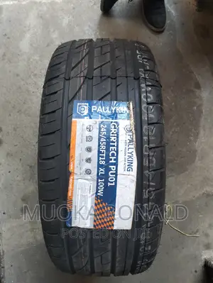 245/45r18 Pallyking Tyre (Runflat