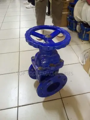 Sluice Valve 4 Inch