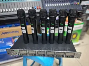 BNK Es600 6 in 1 Wireless Microphone