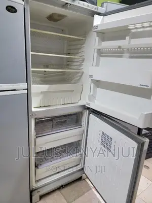 Bottom Freezer Fridge
