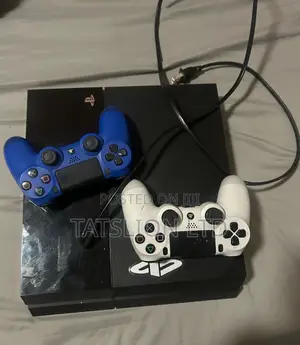 Playstation 4 Selection Standard 2 Controllers