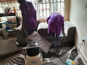 Door To Door Sofa Set Cleaners