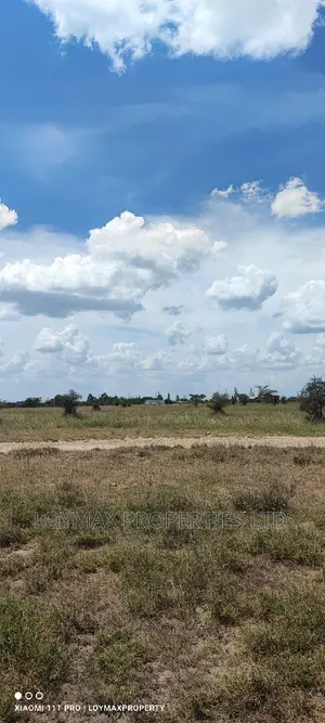 30 Acres for Sale in Ngatatoek Kajiado County