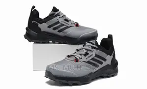 Terrex Ax4 Gore-Tex Hiking Shoes