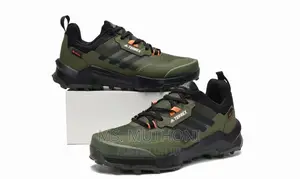 Terrex Ax4 Gore-Tex Hiking Shoes