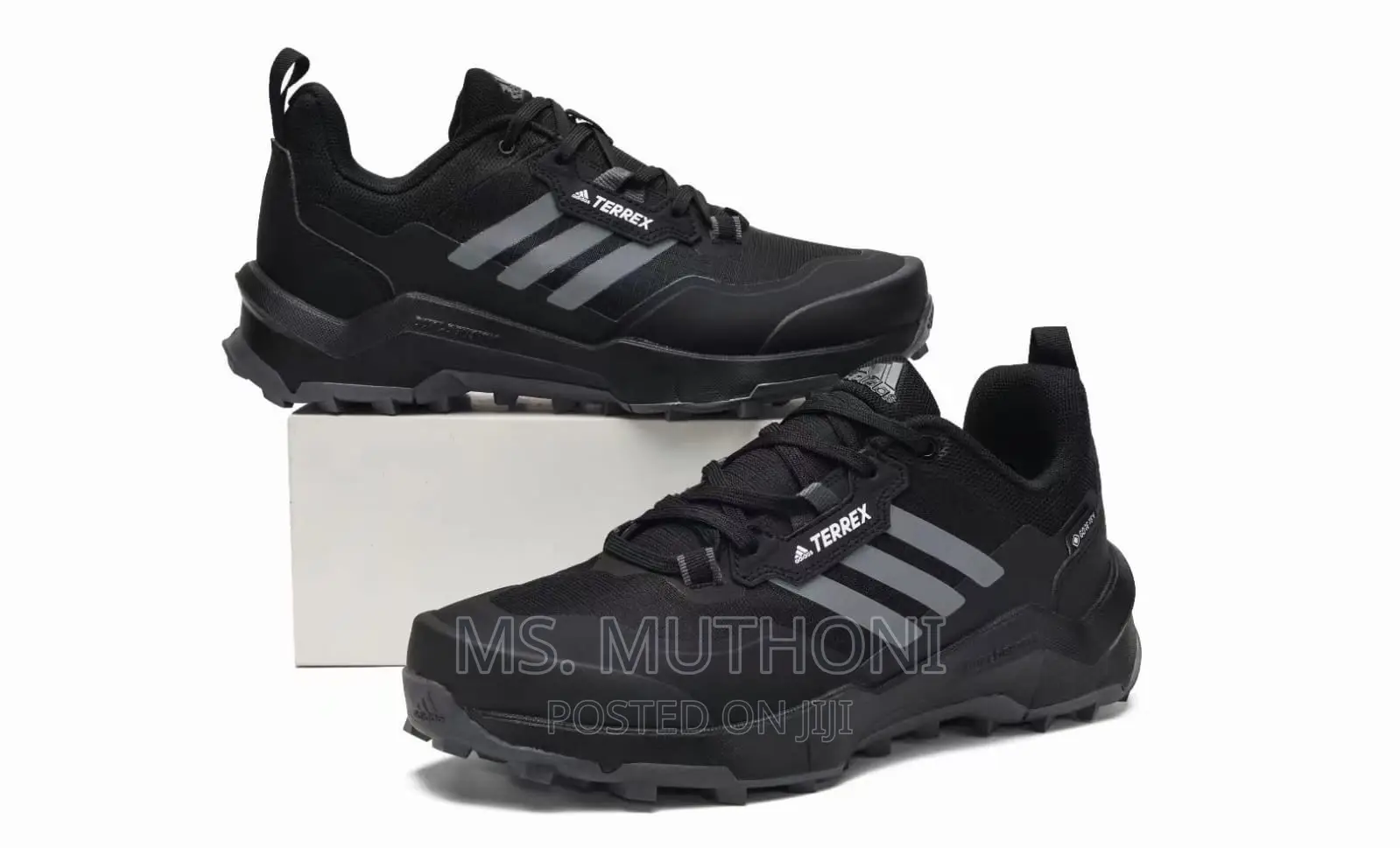 Terrex Ax4 Gore-Tex Hiking Shoes