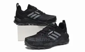 Terrex Ax4 Gore-Tex Hiking Shoes