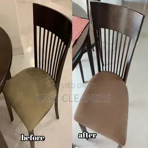 Trusted Couch _Matress Cleaners