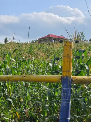 Prime Plots for Sale in Kenol Town