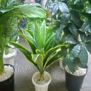 Artificial Plants