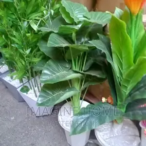 Artificial Plants