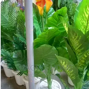 Artificial Plants