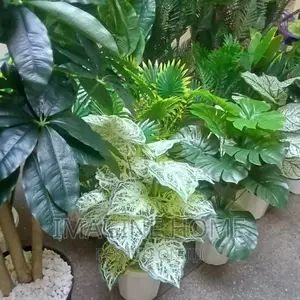 Artificial Plants