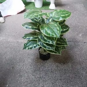Artificial Plants
