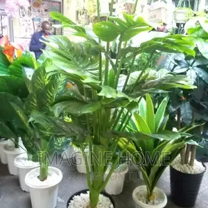 Artificial Green Plants