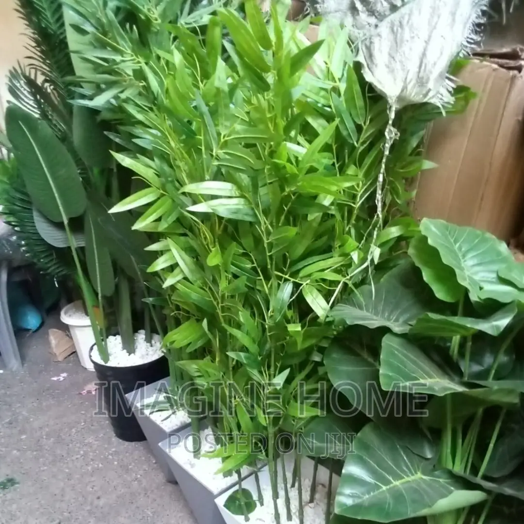 Artificial Plants