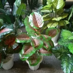 Artificial Plants