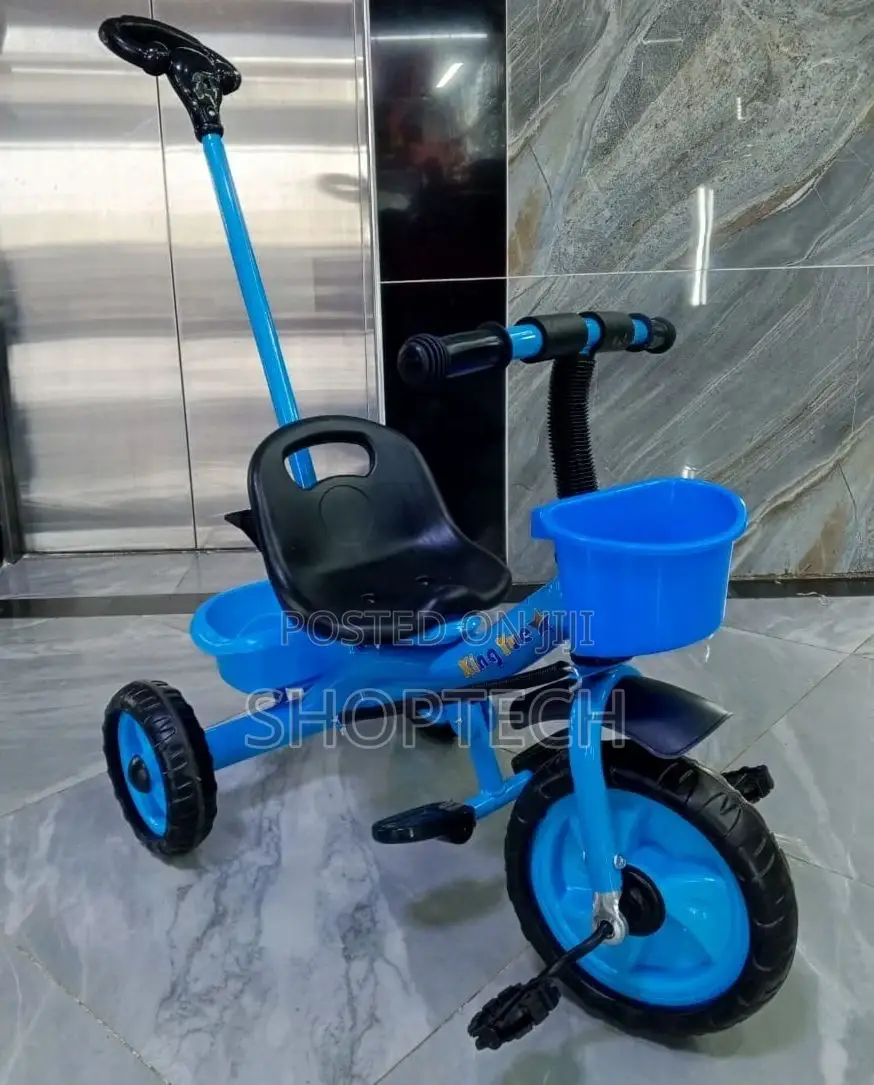 Push Handle Tricycle