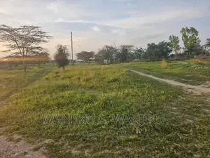 Kitengela Lenchani Plots