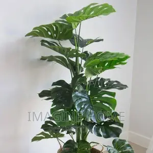 Artificial Plants