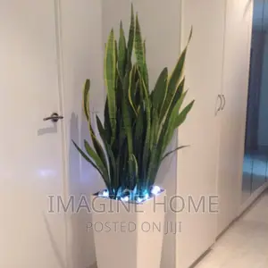 Artificial Plants