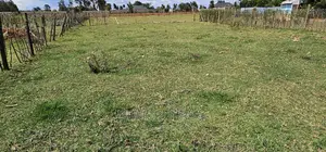 1⁄8 Plot For Sale In Royalton Eldoret