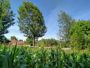 Ngong Half Acre Plot Near ACK Church - Perfect Investment Opportunity