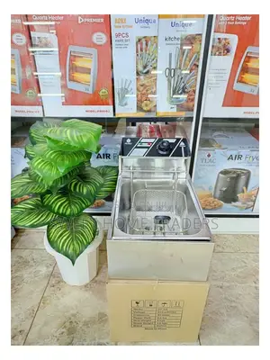 Nunix Single Deep Fryer Electric