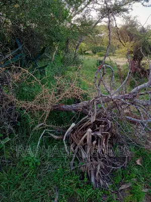 Mua Kamuthanga Machakos